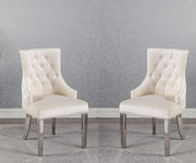YD-301-BE Fancy Chairs (Set of 2 )