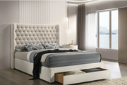 IF-5760 Warm Ivory Velvet Diamond-Tufted Platform Bed with Storage Drawer