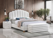 White Teddy Bear Fabric Bed Set IF-5100/ IF-5101/ IF-5102