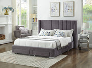 Gray Velvet Fabric Wing Bed with Deep Tufting and Chrome Legs IF-5310