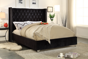 Black Velvet Bed IF-5893