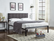 Black Metal Bed IF-105