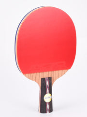 DHSDHS HURRICANE 狂飚 NO.5 SHAKEHAND RACKET - Short Handel