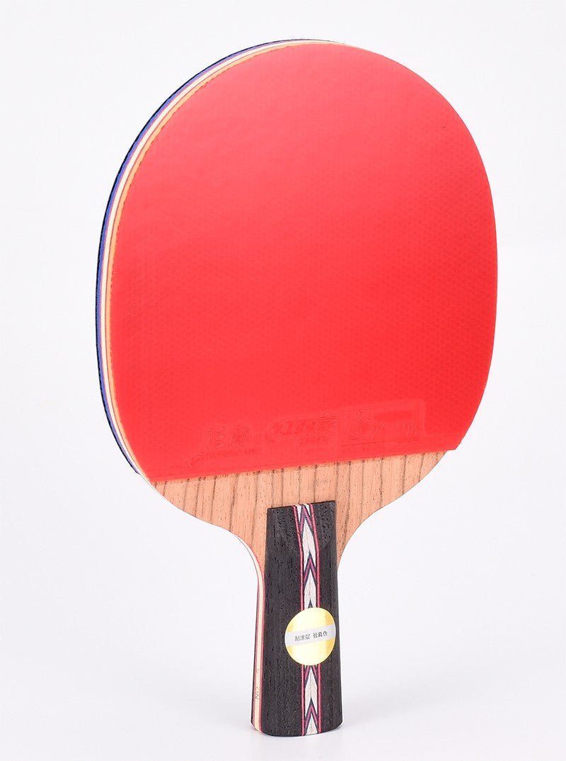 DHSDHS HURRICANE 狂飚 NO.5 SHAKEHAND RACKET - Short Handel