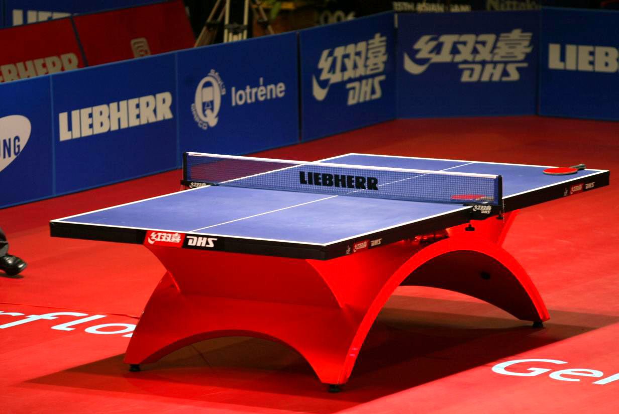 DHSDHS Rainbow Premium Table Tennis Table - 红彩虹