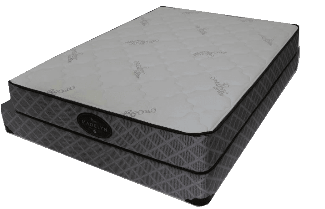 HenchelleML - Anna 8 Hard Foam Mattress