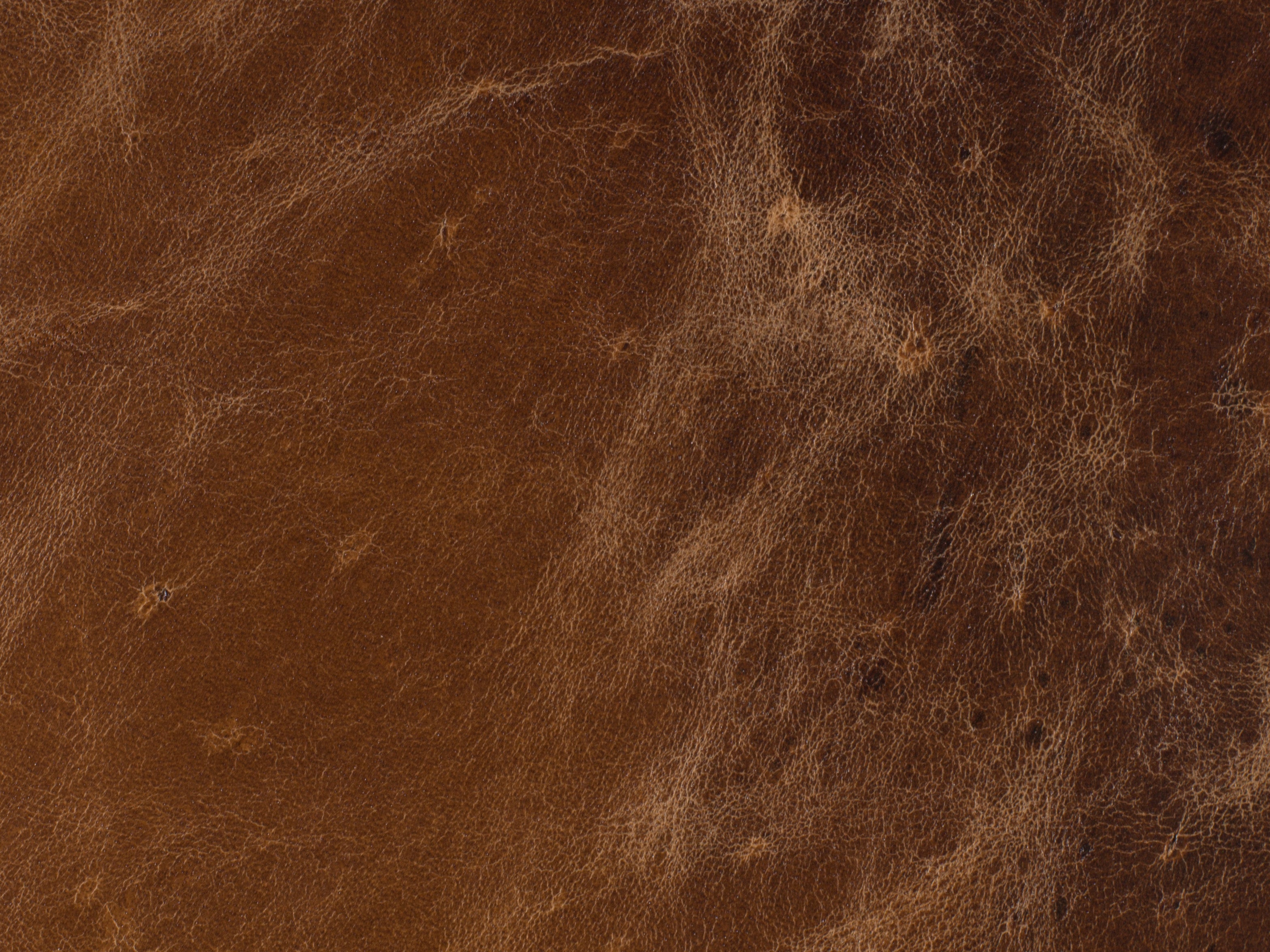 Barker Executive Swivel Tilt Chair