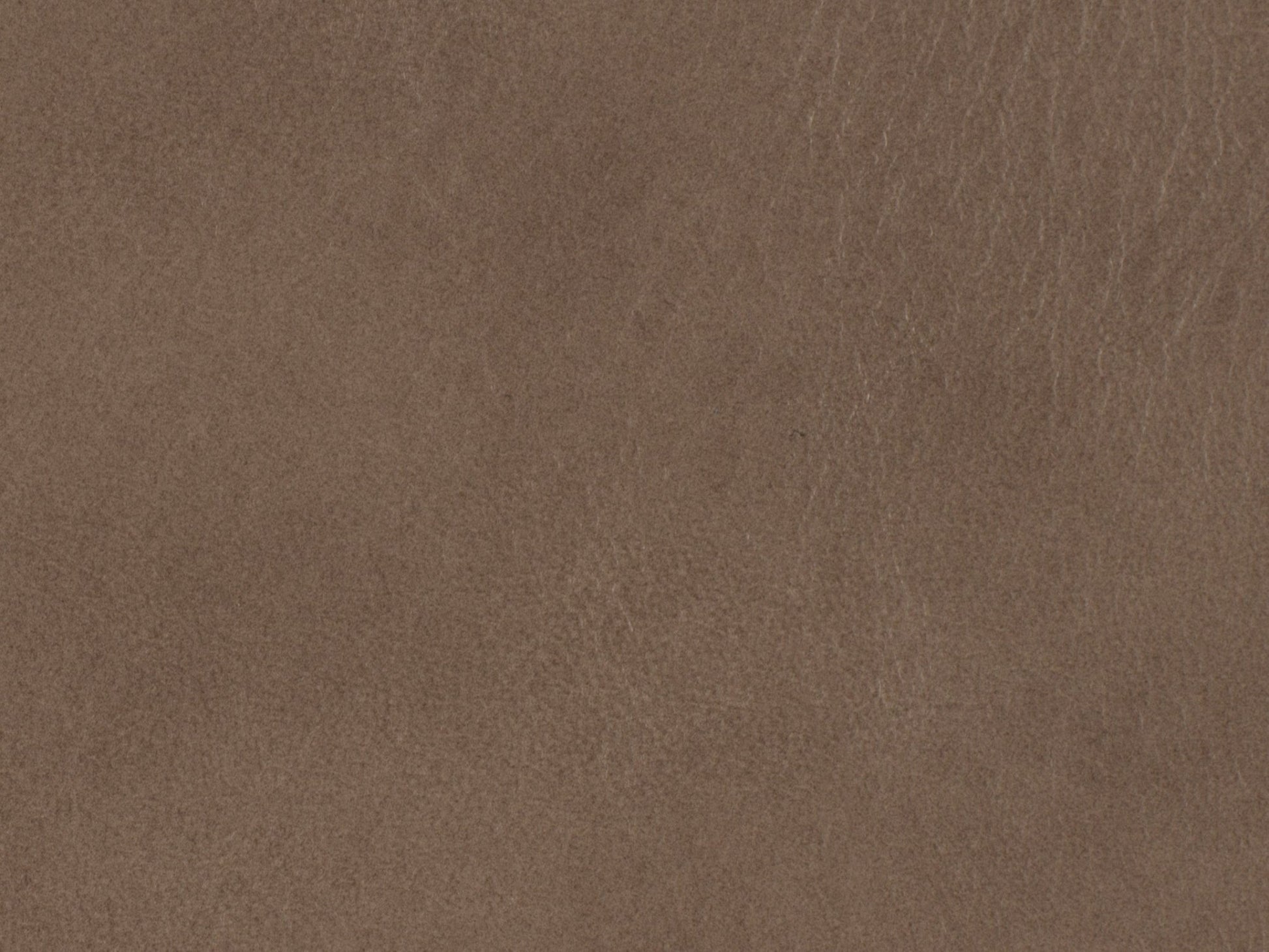 HookerCaleigh Recliner