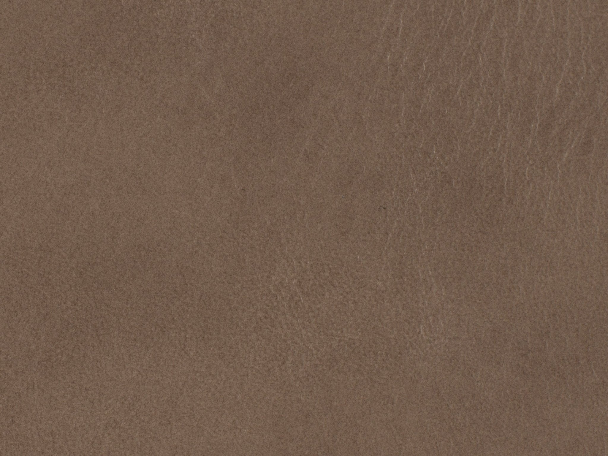 HookerCaleigh Recliner