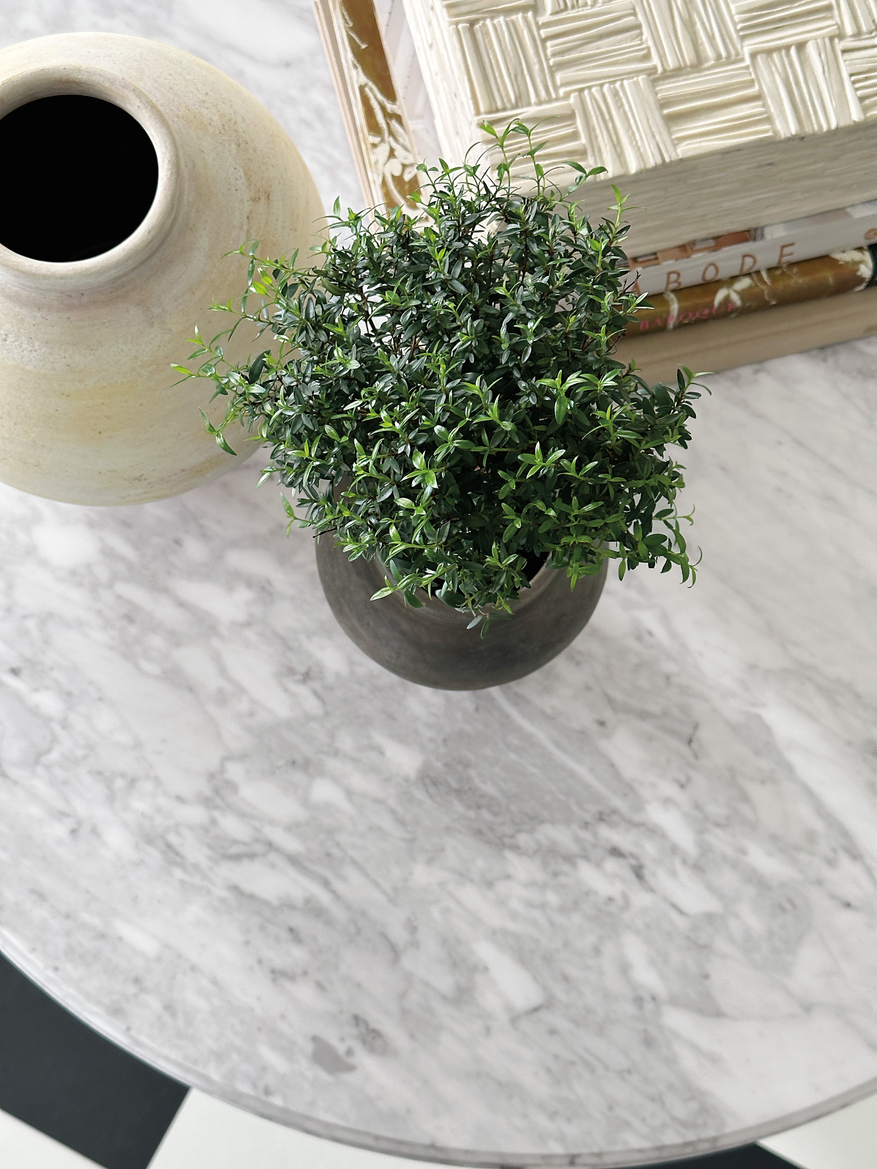 查尔斯顿小酒馆餐桌