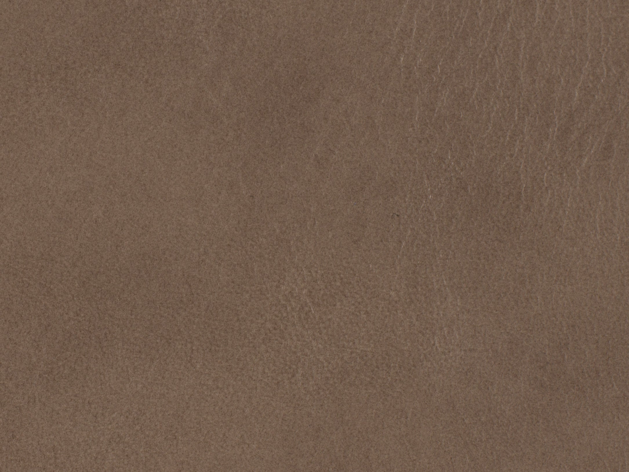 罗莎行政旋转倾斜