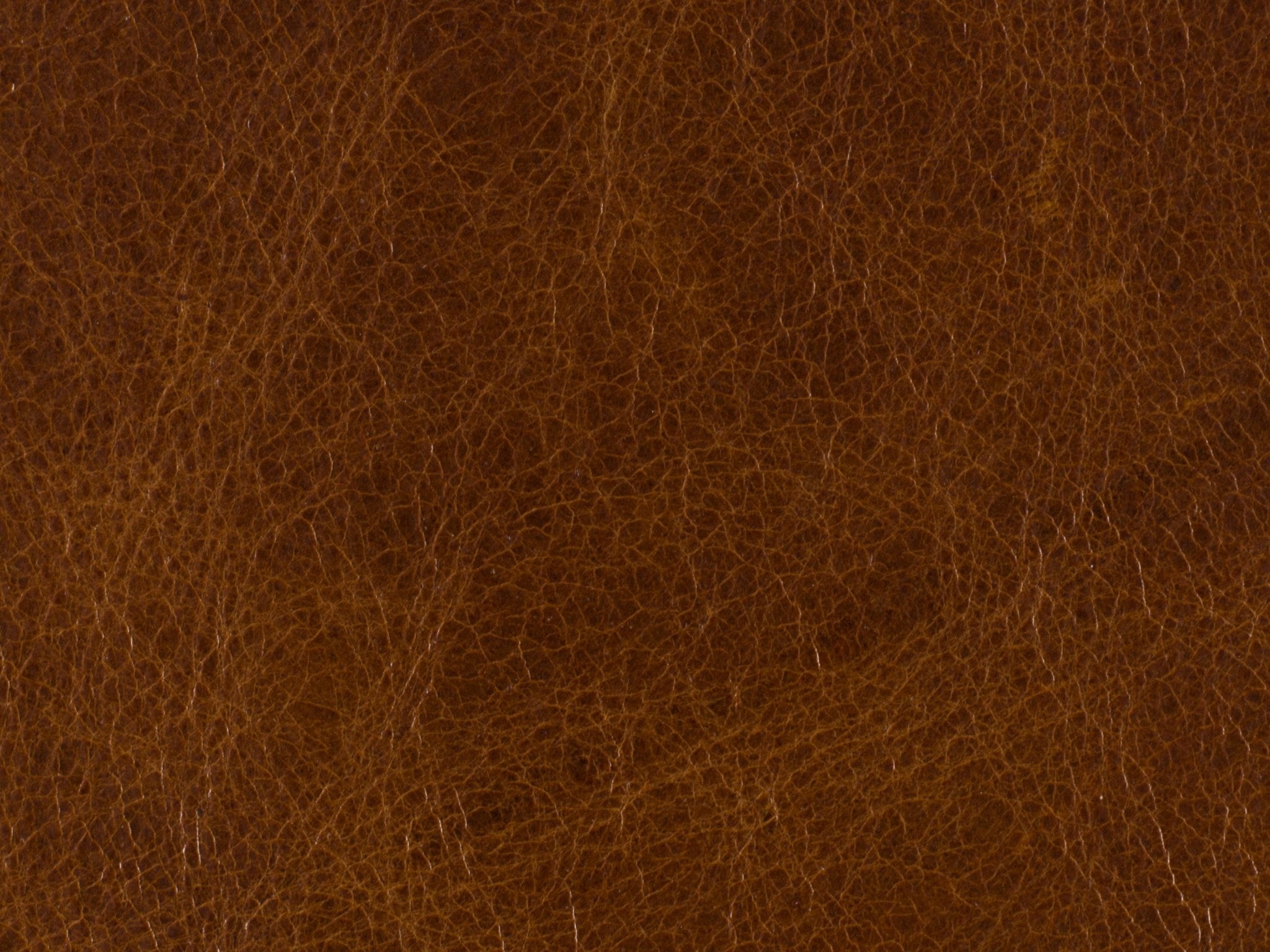 HookerShasta Recliner