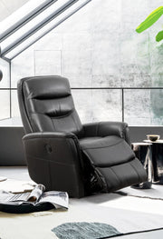 IFDCIF - 6300 Recliner