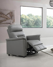 IFDCIF - 8141 Recliner