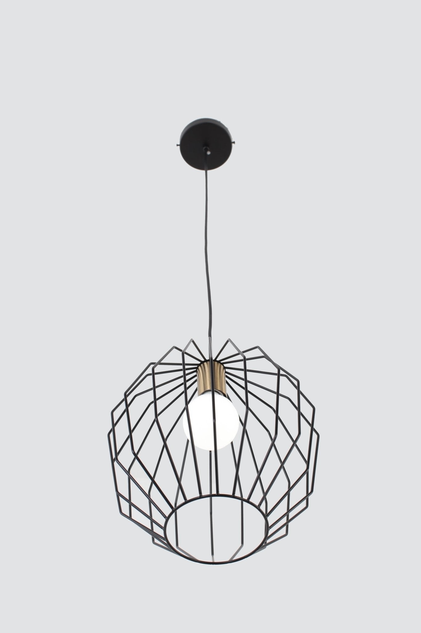 Modern ConceptAlice Single Lighting Pendant