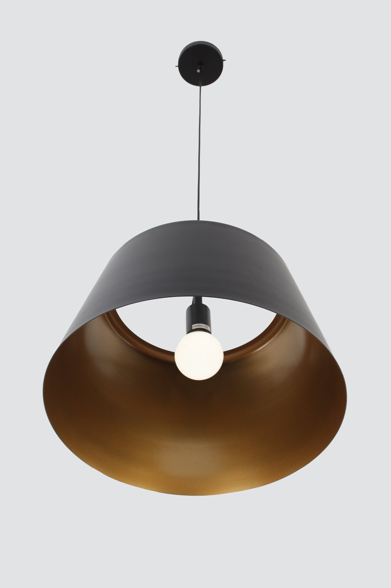 Modern ConceptAutumn Single Lighting Pendant