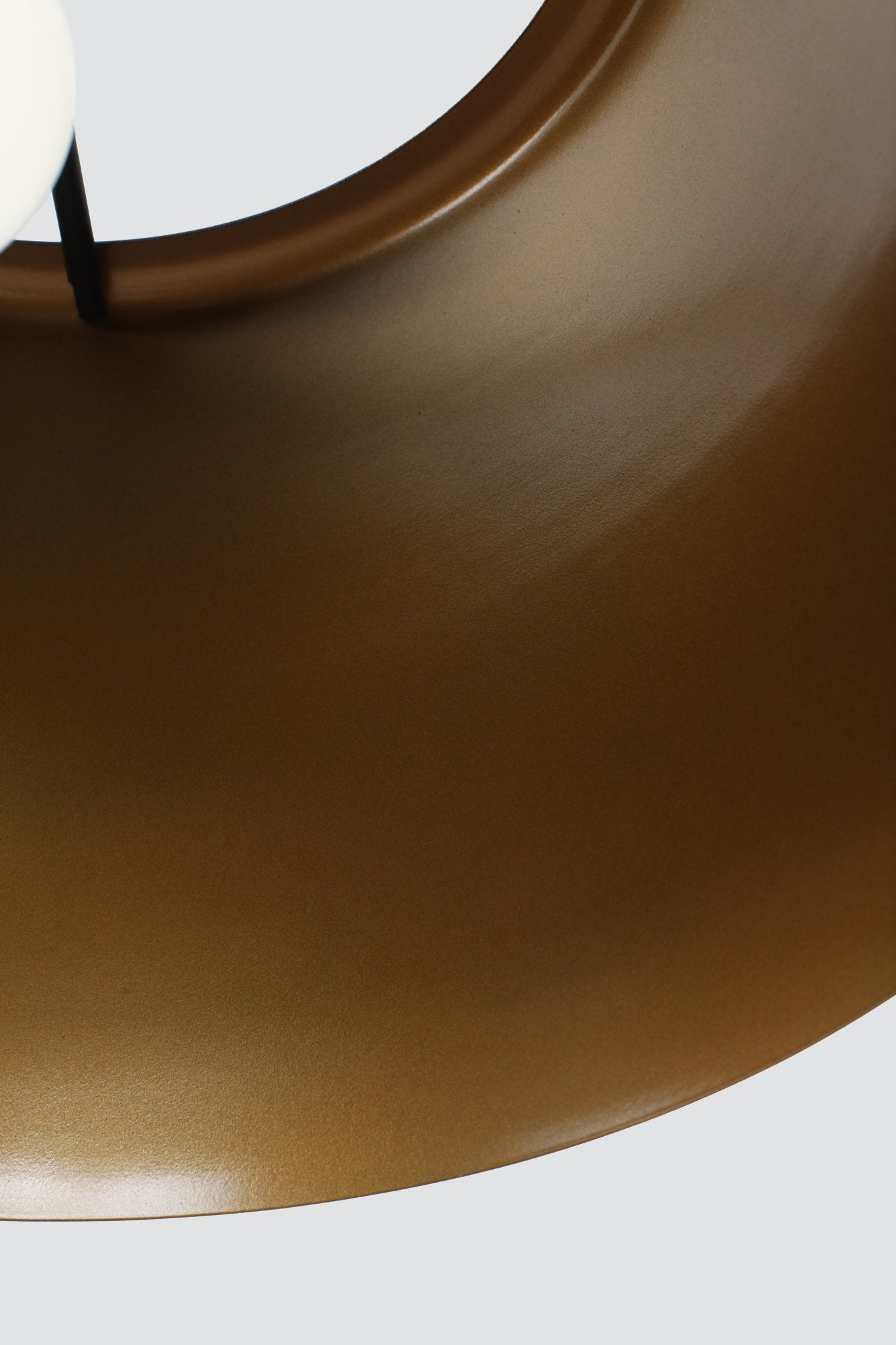 Modern ConceptAutumn Single Lighting Pendant