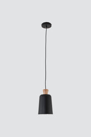 Modern ConceptIvy Single Pendant Black Small