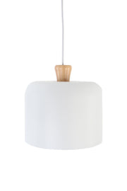 Modern ConceptIvy Single Pendant White Large