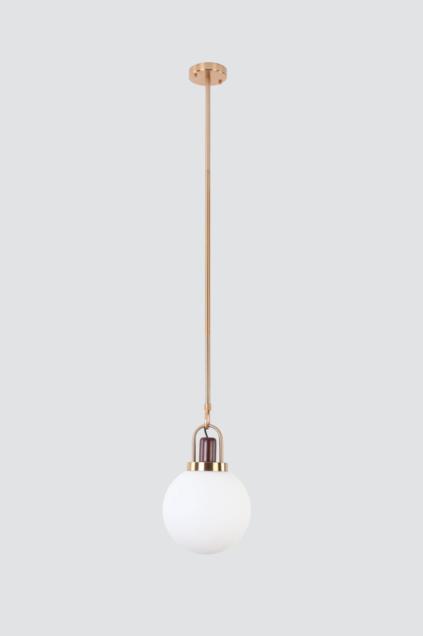 Modern ConceptMid Century Brass Pendant With Wood Accent
