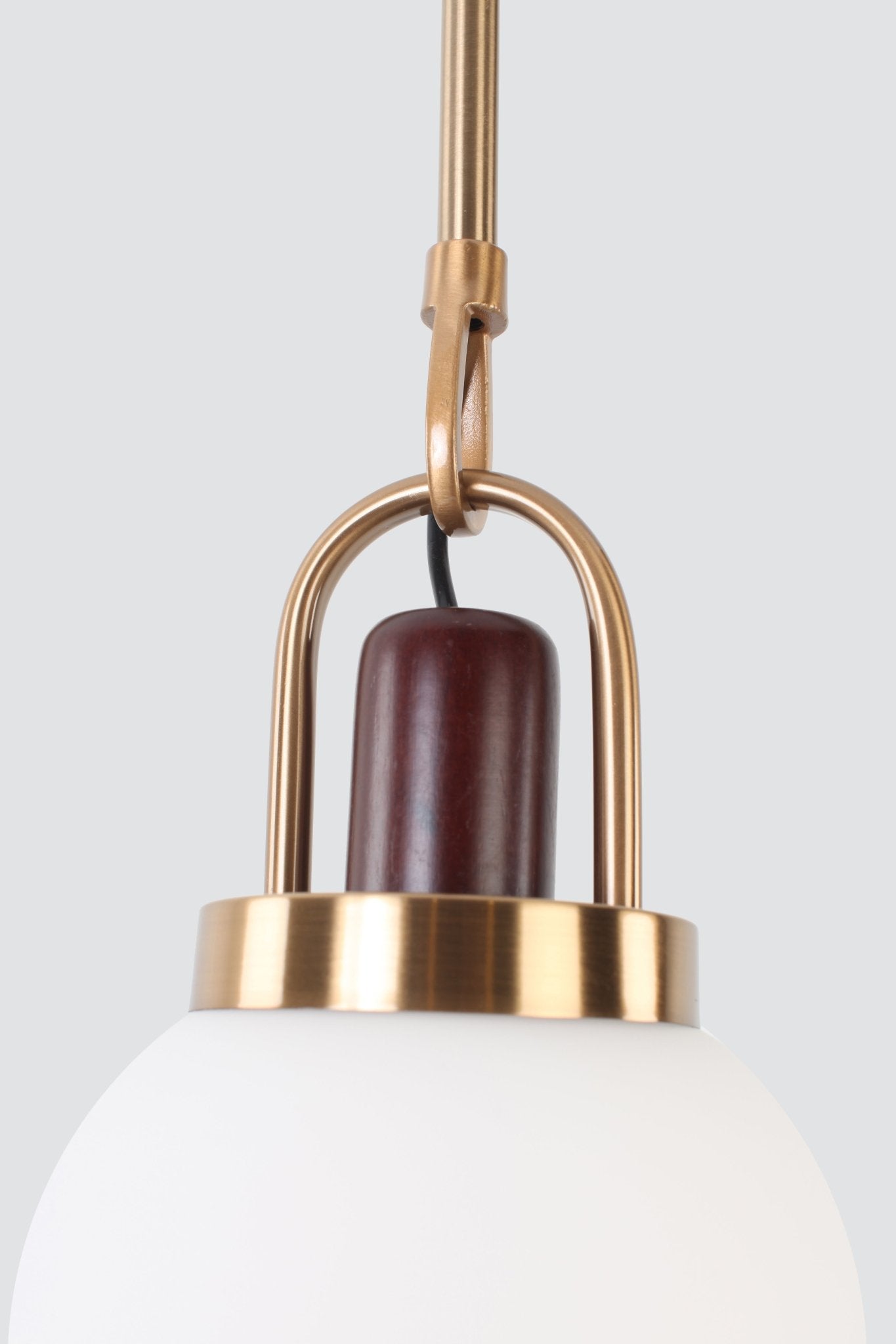 Modern ConceptMid Century Brass Pendant With Wood Accent