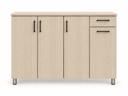 SankouSK Shoe Cabinet