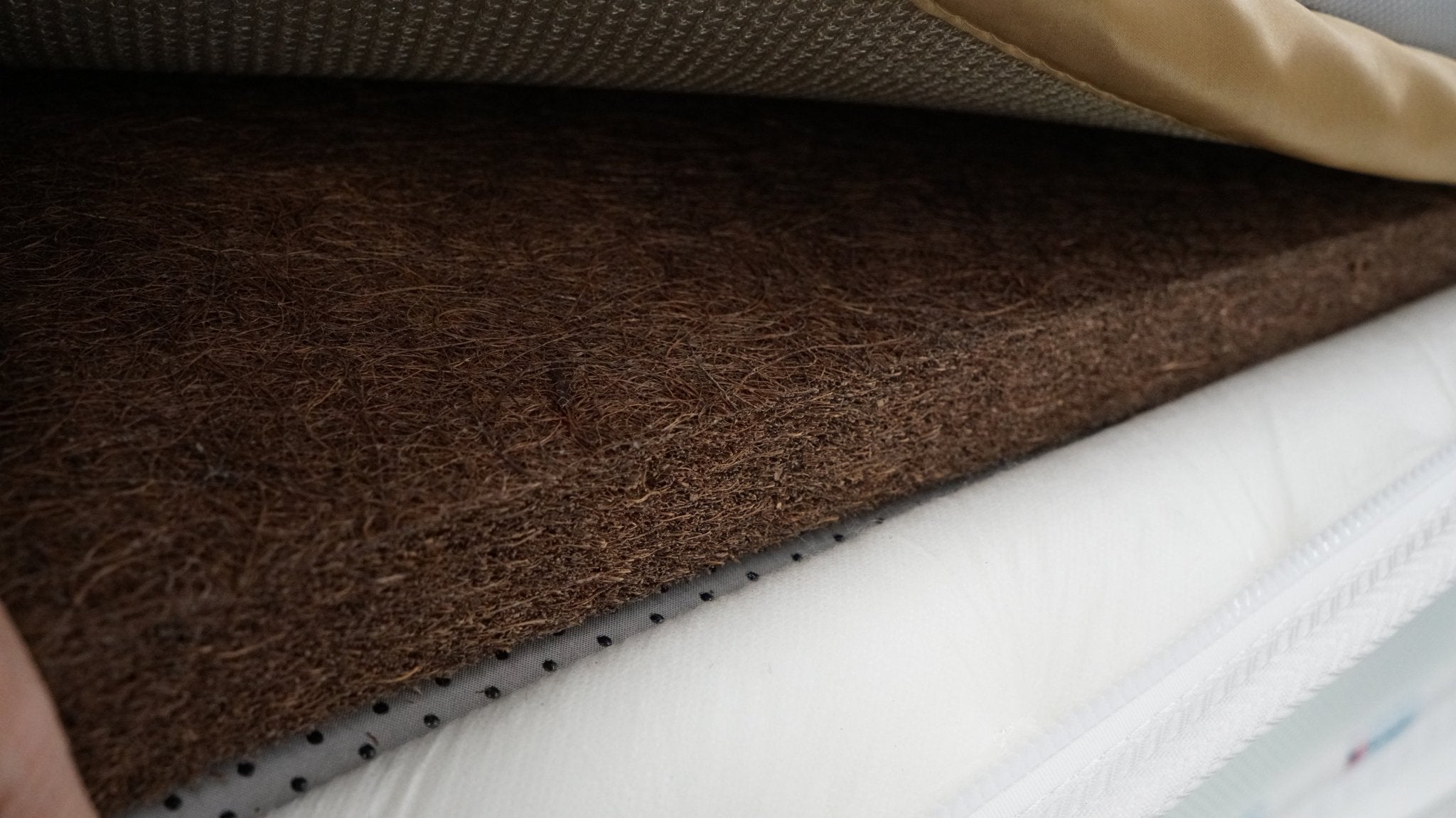 SeryatoWyndham Mountain Palm Mattress