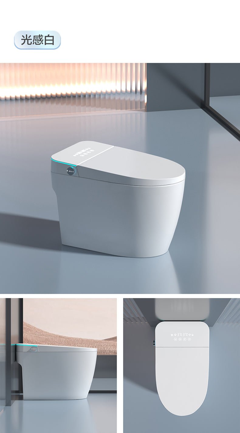 WhaleBELUGA 213 Smart Toilet