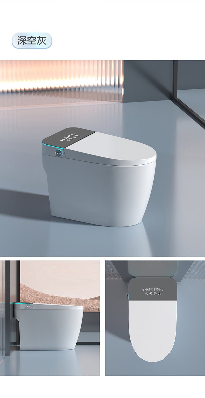 WhaleBELUGA 213 Smart Toilet