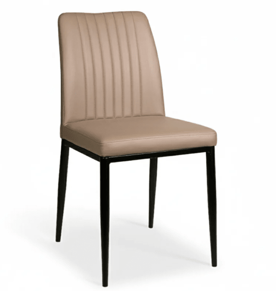 XcellaSlay Dining Chair Set of 2
