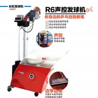 DHS R6 Table Tennis Robot